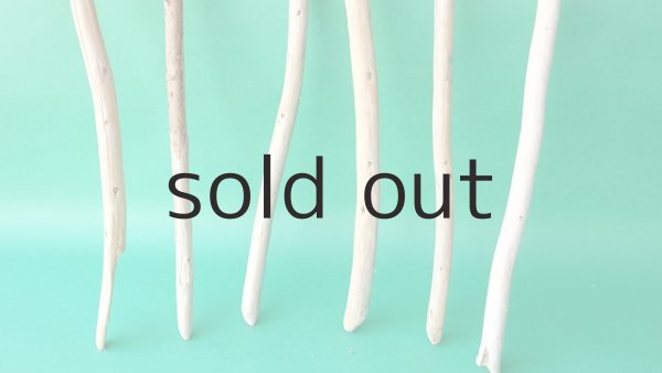 画像2: 棒流木セット (2)