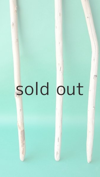 画像2: 棒流木セット (2)