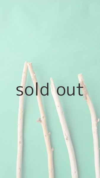 画像5: 棒流木セット (5)