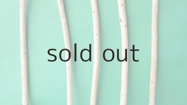 画像3: 棒流木セット (3)