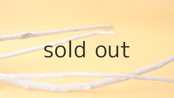 画像7: 流木根 (7)