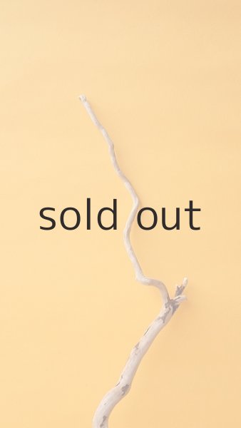 画像4: 流木根 (4)