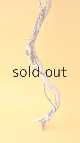 画像2: 流木根 (2)