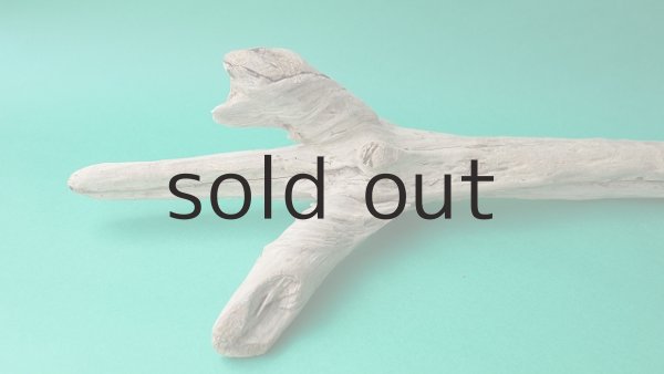 画像5: 幹流木 (5)