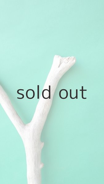 画像4: 幹流木 (4)