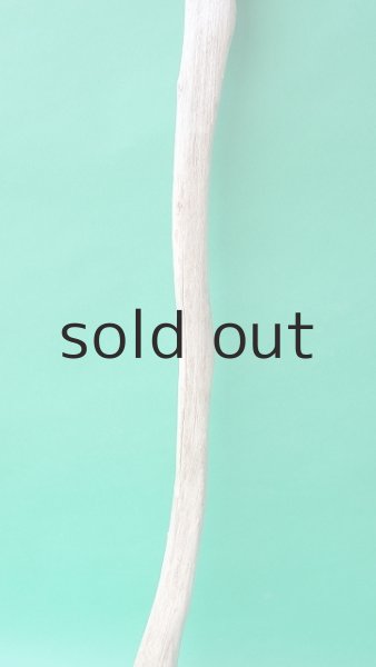 画像3: 幹流木 (3)