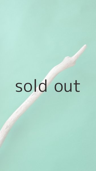 画像6: 幹流木 (6)