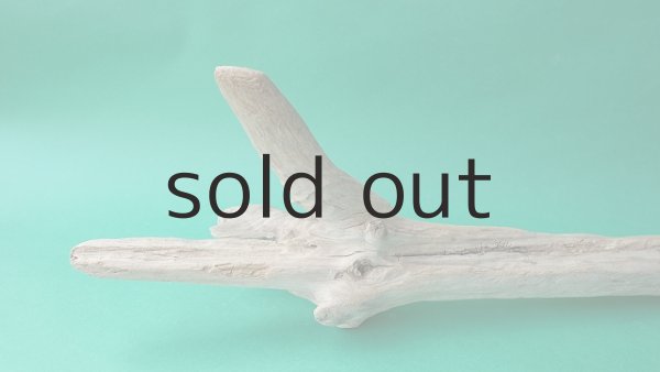 画像4: 幹流木 (4)