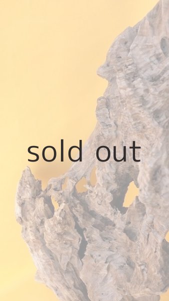 左側面浸食部分