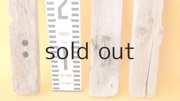 画像4: 板流木セット (4)