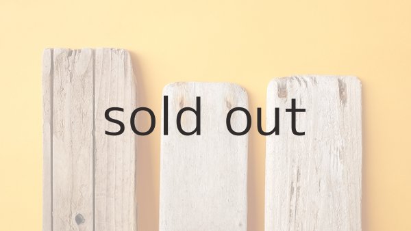 画像4: 板流木セット (4)