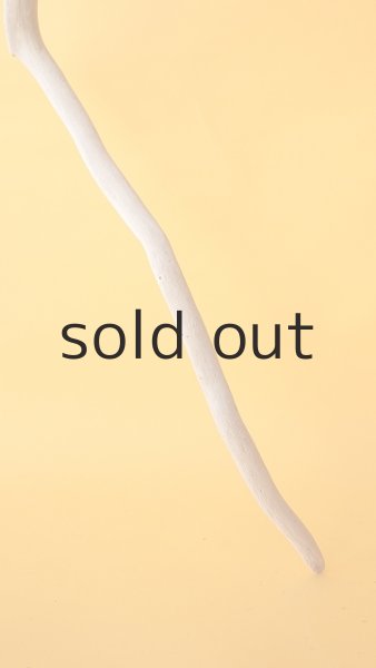 画像2: 流木根 (2)