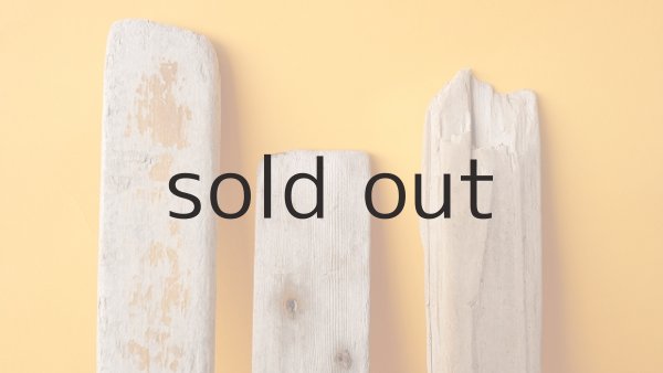 画像3: 板流木セット (3)