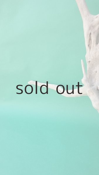 画像4: 枝流木 (4)