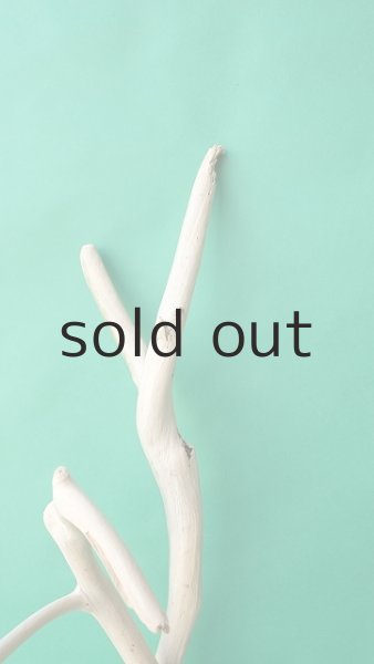 画像4: 枝流木 (4)