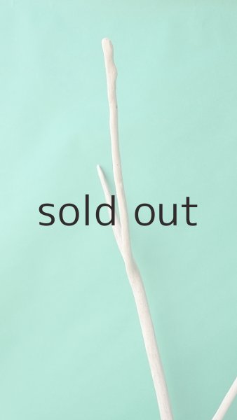 画像4: 枝流木 (4)