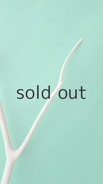 画像3: 枝流木 (3)