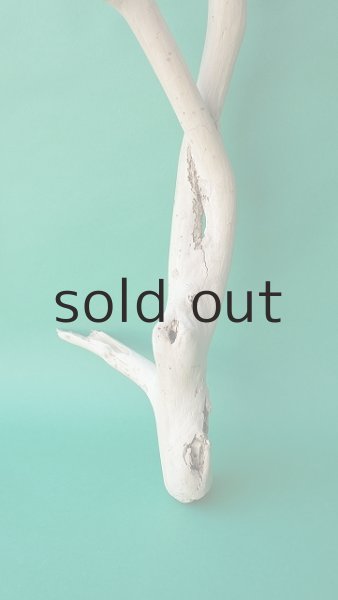 画像2: 枝流木 (2)