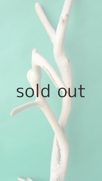 画像3: 枝流木 (3)