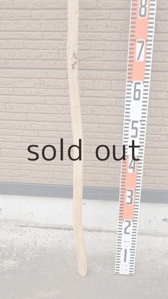 画像5: 棒流木・長尺 (5)