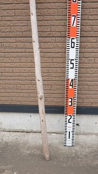 画像5: 棒流木・長尺 (5)