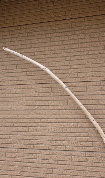 画像4: 棒流木・長尺 (4)