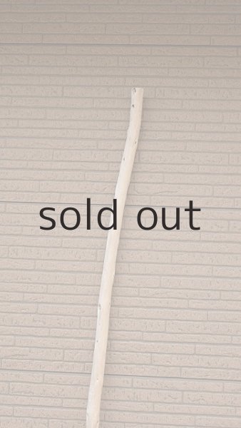 画像4: 棒流木・長尺 (4)