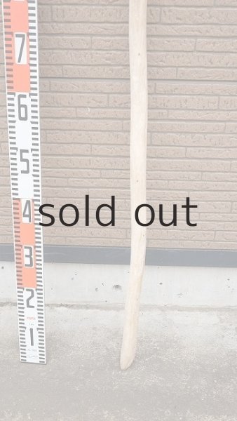 画像5: 棒流木・長尺 (5)