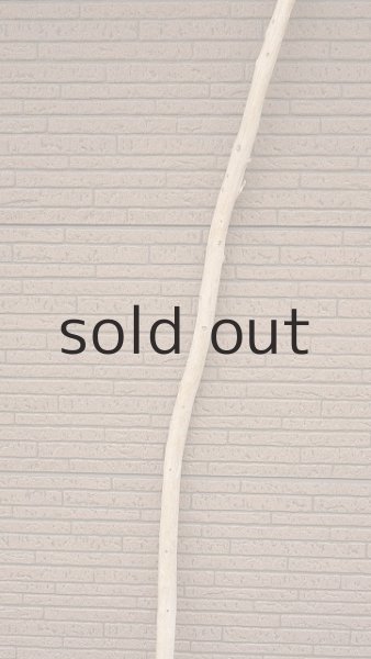 画像3: 棒流木・長尺 (3)