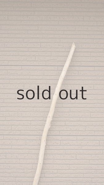 画像4: 棒流木・長尺 (4)