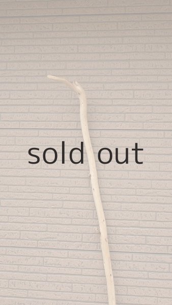 画像4: 棒流木・長尺 (4)