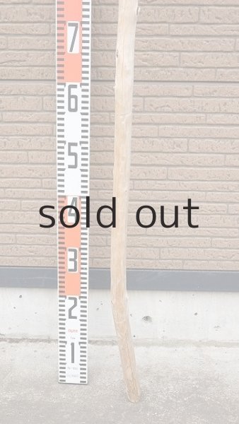 画像5: 棒流木・長尺 (5)