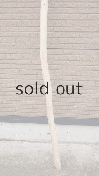 画像2: 棒流木・長尺 (2)