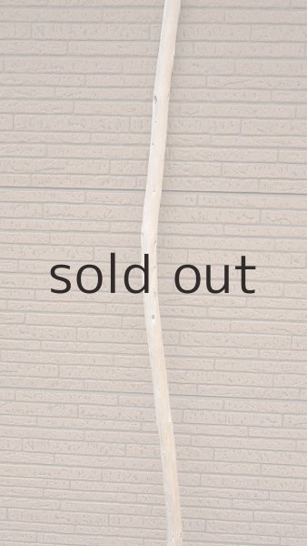 画像3: 棒流木・長尺 (3)