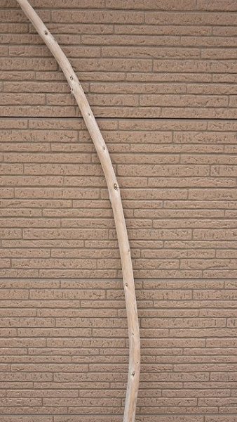 画像3: 棒流木・長尺 (3)