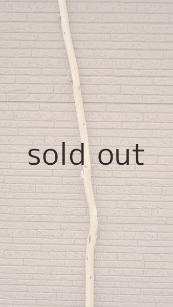 画像3: 棒流木・長尺 (3)