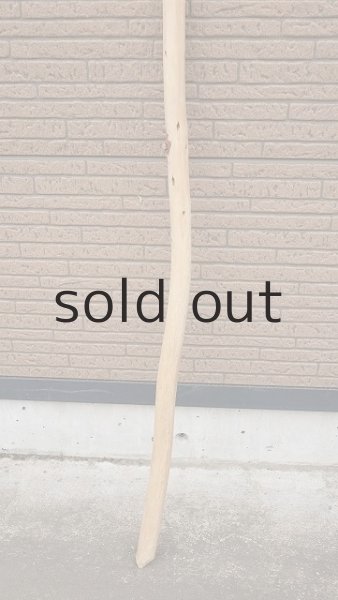 画像2: 棒流木・長尺 (2)