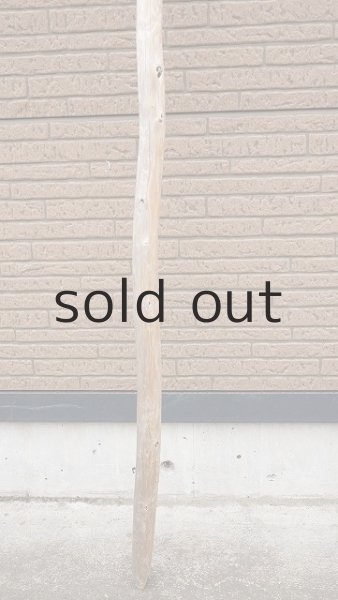 画像2: 棒流木・長尺 (2)