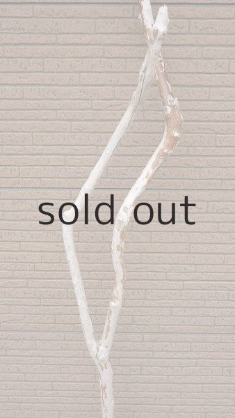 画像3: 幹流木・長尺 (3)