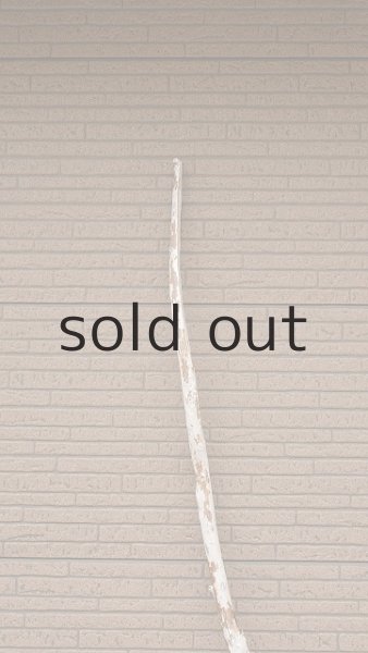 画像5: 幹流木・長尺 (5)