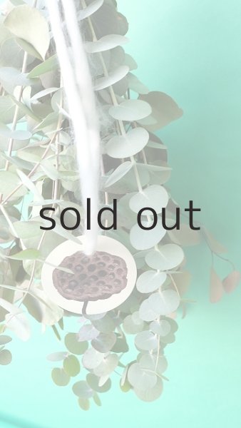 画像5: Dry plants for decor ユーカリ2種シンプルスワッグ (5)