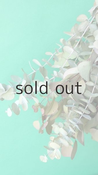 画像4: Dry plants for decor ユーカリ2種シンプルスワッグ (4)