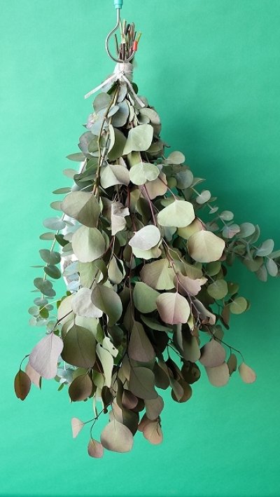 画像3: Dry plants for decor ユーカリ2種シンプルスワッグ