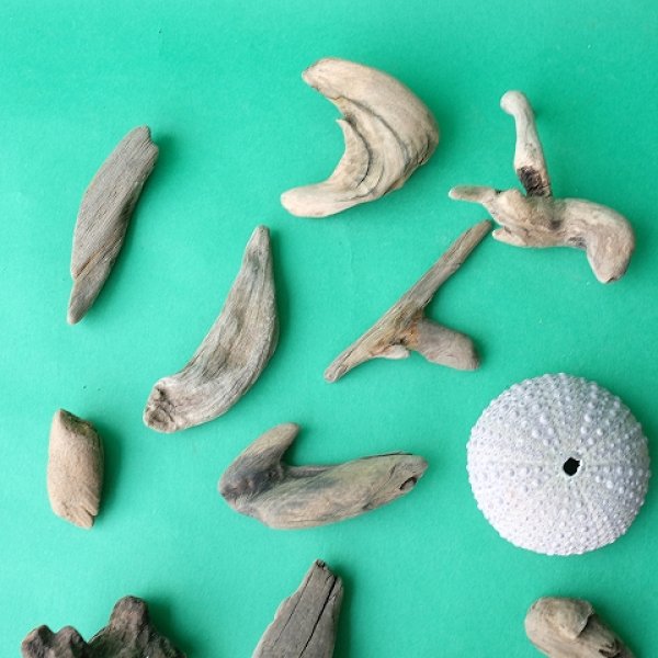 画像2: 変形流木セット (2)