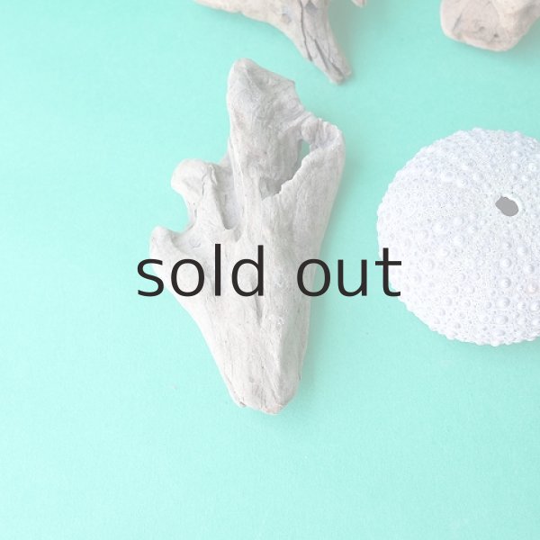 画像4: 変形流木セット (4)