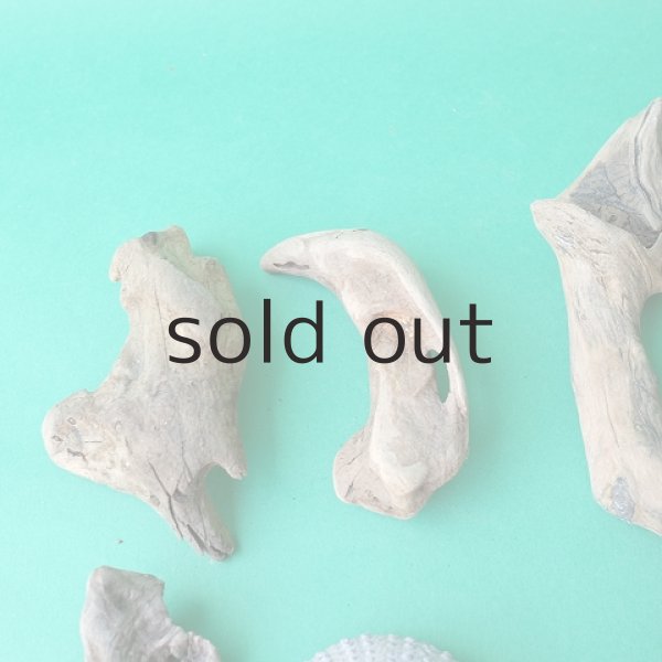 画像2: 変形流木セット (2)