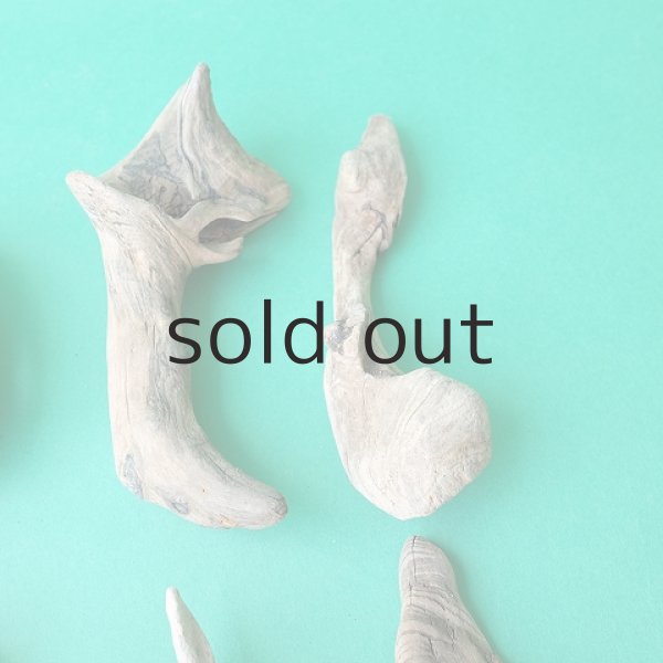 画像3: 変形流木セット (3)