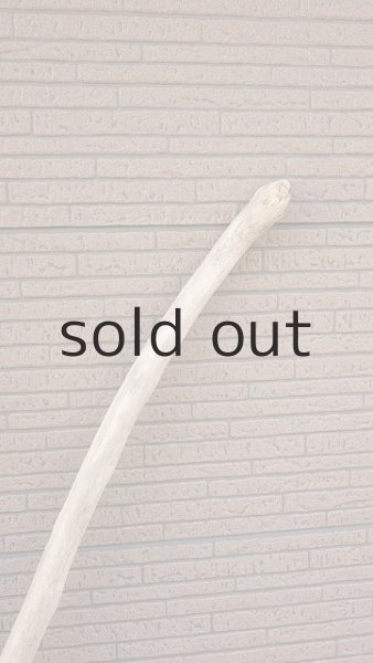 画像5: 大型 幹・根付 (5)