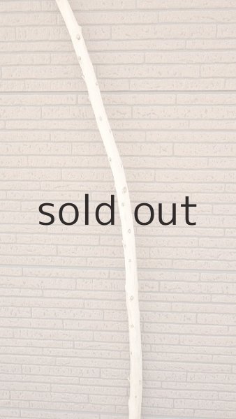 画像3: 棒流木・長尺 (3)