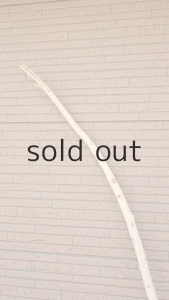 画像4: 棒流木・長尺 (4)